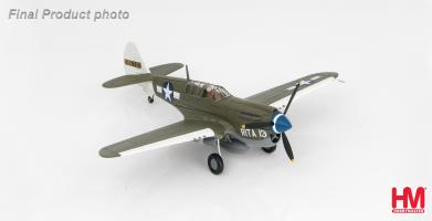 Hobby Master HA5504 Curtiss P-40N "Rita/Orchid 13" 2105202, Captain Robert DeHaven, 7th FS, 49th FG, August 1943