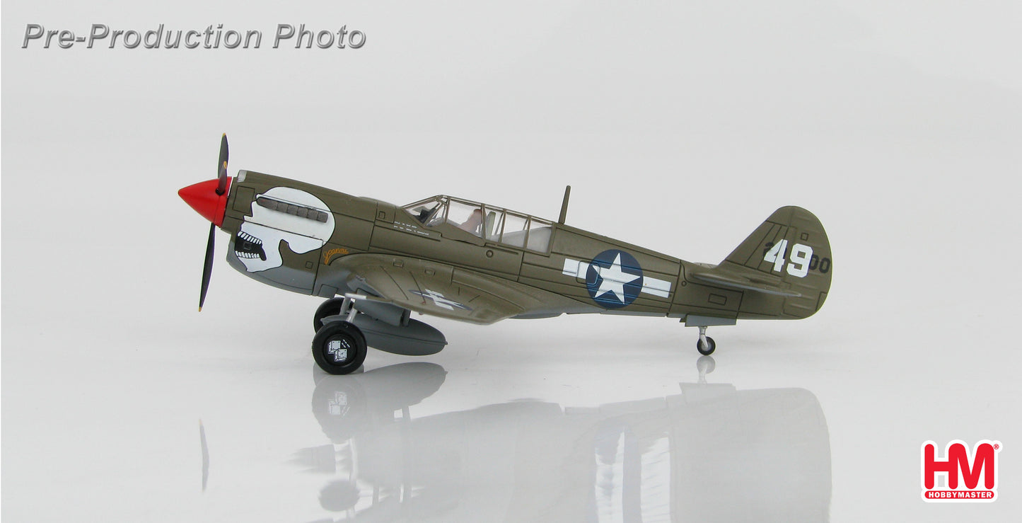 Hobby Master HA5503 1:72 P-40N Warhawk