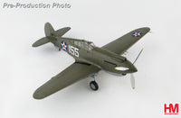 Hobby Master HA9202 1:48 P-40B